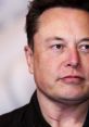 Elon Musk's close-up portrait, showcasing his thoughtful expression and signature style in a sleek black jacket.