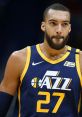 Rudy Gobert Gobert was named to the All-NBA Second Team in 2017. He was the NBA blocks leader in the 2016–17 season and