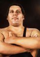 Andre The Giant André René Roussimoff, better known as André the Giant, was a French professional wrestler and actor. He