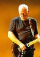 David Gilmour