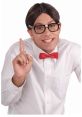 Cheerful nerd in glasses and bow tie, showcasing enthusiasm for learning and geek culture, ideal for fun character portrayals.