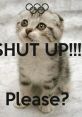 Cute kitten with big eyes and the text "SHUT UP!!! Please?" adds humor to the playful Olympic theme.