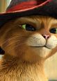 Close-up of El Gato con Botas with a charming hat, showcasing his captivating green eyes and playful expression.