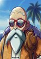 Roshi Turtle