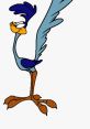 Roadrunner Looney Tunes LOLOLOLOLOLOL BEEP BEEP