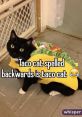 Taco_cat_lol from Taco_cat_lol. # #drum #drummachine #alinstrument #bassdrum #speech #piano #distortion #effectsunit #tender