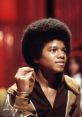 Young Michael Jackson performing with his signature hairstyle, capturing the essence of 1970s music culture.