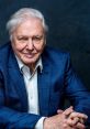 Portrait of Sir David Attenborough, showcasing his wise expression and signature style in a blue jacket against a dark background.