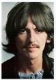 George Harrison portrait showcasing his iconic hairstyle and style from the 1970s, reflecting his musical legacy.