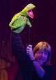 Kermit the Frog, performed by Steve Whitmire, entertains on stage with vibrant expressions and lively gestures.