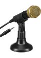 Microphone TTS Computer AI Voice