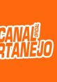 Canal Sertanejo Oficial from Canal Sertanejo Oficial. # #pop #ballad #speech #harmonica #latin #mpb #house #disco