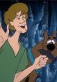 Shaggy Rogers, voiced by Casey Kasem, shares a humorous moment with Scooby-Doo in a spooky forest setting.