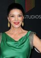 Shohreh Aghdashloo Type your text and hear it in the voice of Shohreh Aghdashloo by bibbybob.