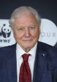 Sir David Attenborough smiling at a WWF event, showcasing his iconic style and dedication to wildlife conservation.