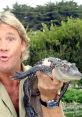 Steve Irwin holds a baby crocodile, showcasing his passion for wildlife conservation and education in a natural setting.