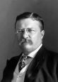 Theodore Roosevelt (26th U.S. President) Type your text and hear it in the voice of Theodore Roosevelt (26th U.S. President)