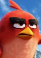 Close-up of Red from The Angry Birds Movie, showcasing his iconic angry expression and vibrant red feathers against a blue sky.