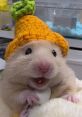 Cute hamster wearing an orange hat, smiling and holding a small object, showcasing adorable pet fashion.