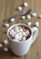 HotCocoa