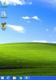 Windows XP desktop featuring Recycle Bin and SkinPack XP icons on a vibrant green background with blue sky.