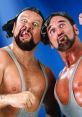 Butch and Luke The Bushwhackers - WWE-WWF Former WWE/WWF Wrestlers