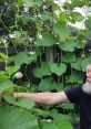 Aaron Compton Aka Shambolika. Poet. Succinct yet lush. #recording #poetry #gardening #community #collaboration #newzealand