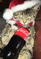 Cokey Cola Cat That one audio