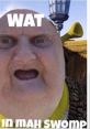 Shrek meme featuring a shocked expression and the text "WAT IN MAH SWOMP," iconic for goofyahh memes and internet humor.