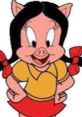 Petunia Pig Petunia Pig is an animated cartoon character in the Looney Tunes and Merrie Melodies series of cartoons from