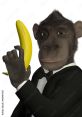 MrMonke