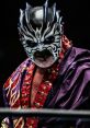 Wrestler in an intricate mask and vibrant robe, showcasing a powerful presence and striking character in the ring.