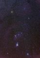 Orius Orion