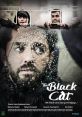 The black cat YT