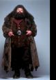 Rubeus Hagrid in a brown fur coat, standing confidently, captures the essence of the beloved character from PS1.