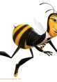 Adam Flayman (BEE MOVIE) Type your text and hear it in the voice of Adam Flayman (BEE MOVIE) by user500.