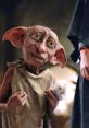 Dobby Potter