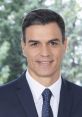 Pedro Sánchez, Spanish Prime Minister, smiling in a suit with a blurred green background, showcasing leadership and confidence.