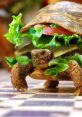 Turtle with lettuce and tomato on its back, creatively styled as a food dish, showcasing playful animal themes.