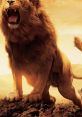 Aslan