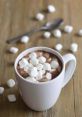 Hot Cocoa from Hot Cocoa. #speech #sneeze #gasp #sigh #conversation #femalespeech #narration #monologue #womanspeaking