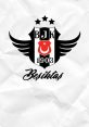 Bjk039