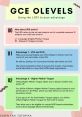 GCE O Levels guide on utilizing L1R5 strategy, highlighting VIA, CCA, and Higher Mother Tongue advantages for students.