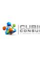 CUBIC IT CONSULTING We bring insight that helps your audience find your business through search engine optimization and