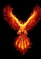 Phenix fire