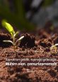 Small green plant emerging from rich brown soil, with Mevlana's quote about returning to the earth and resilience.