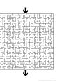 Maze