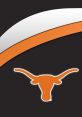 TexasLonghorns31