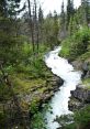 Rapids The first captures the powerful rushing of water as it cascades down a set of Canadian rapids. The is intense and