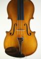 Violins The of violins creates a beautiful and ethereal melody that seems to transport listeners to another world. The